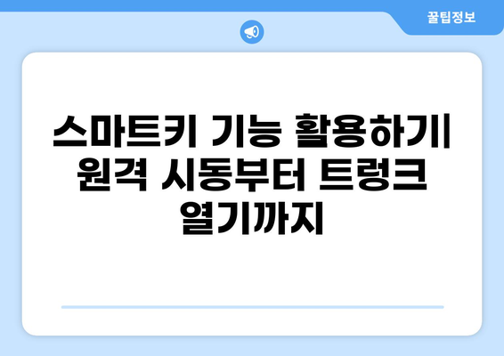 자동차 카드키 사용법 완벽 가이드| 모든 기능과 팁 | 자동차 키, 스마트키, 원격 시동, 비상 잠금 해제, 배터리 교체