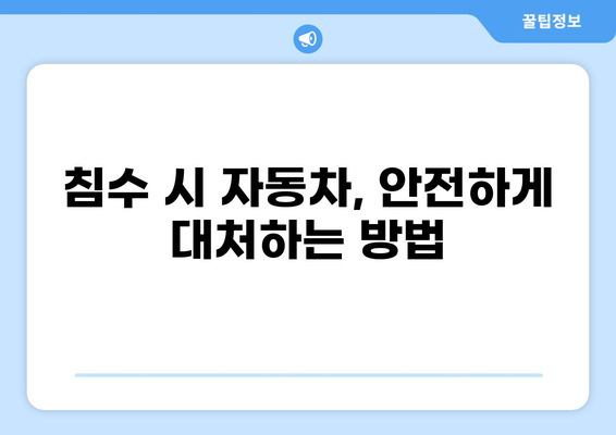 자동차 침수, 이제 걱정 끝! 똑똑한 예방 가이드 | 침수 피해, 자동차 관리, 안전 운전