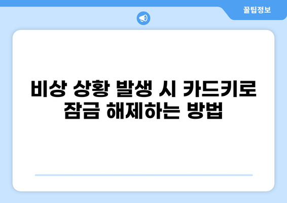 자동차 카드키 사용법 완벽 가이드| 모든 기능과 팁 | 자동차 키, 스마트키, 원격 시동, 비상 잠금 해제, 배터리 교체